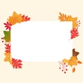 Autumnal frame with maple leaves.