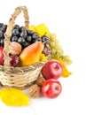 Autumnal fruit in basket Royalty Free Stock Photo
