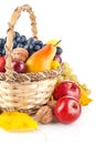 Autumnal fruit in basket Royalty Free Stock Photo