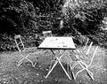 Autumnal garden, chairs, table and fallen leaves