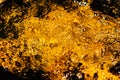 Autumnal golden yellow blurry abstract water background. Formed from sunny reflections of forest trees and movement in a river. Royalty Free Stock Photo