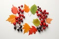 Autumnal harmony viburnum, rowan berries, dogrose, leaves on white backdrop