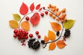 Autumnal harmony viburnum, rowan berries, dogrose, leaves on white backdrop