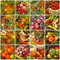 Autumnal harvest collage Royalty Free Stock Photo