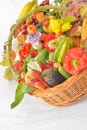 Autumnal harvest vegetable and fruit in basket Royalty Free Stock Photo