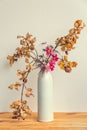 Autumnal ikebana japanese flower arrangement with oak tree branches and orchid Royalty Free Stock Photo