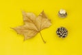 Autumnal image with a dry leaf, a small pineapple and some stones on a plain yellow background Royalty Free Stock Photo