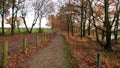 Autumnal Journey: Time Warp through a Forest Path