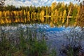 Autumnal lake Royalty Free Stock Photo