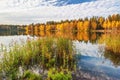 Autumnal lake