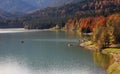 Autumnal lake shore, artificial lake sylvenstein