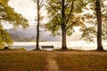 Autumnal lake shore of lake walchensee, upper bavaria