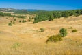 Autumnal landscape on Ai-Petri mountain tableland