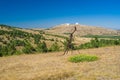 Autumnal landscape on Ai-Petri mountain tableland