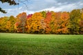 Autumnal Landscape and Cloudy Sky