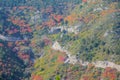 Autumnal mountain forest Royalty Free Stock Photo