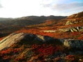 Autumnal landscape in Norwegian mountains