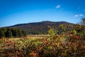 Autumnal landscape with rosehip bush and Sleza mountain, Poland. Royalty Free Stock Photo