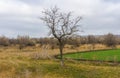 Autumnal landscape in rural Ukrainian area Royalty Free Stock Photo