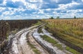 Autumnal landscape in Ukraine Royalty Free Stock Photo