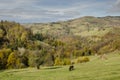 Autumnal landscape of the village hills