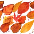 Autumnal leaves seamless repeatable border