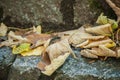 autumnal leaves in the stoned stairs Royalty Free Stock Photo