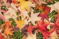 Autumnal maple colorful fallen leaves Royalty Free Stock Photo