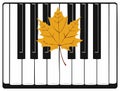 Autumnal Maple Leaf on Piano Keys, Black and White Contrast Pattern Royalty Free Stock Photo