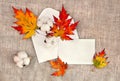 Autumnal maple leaves, cotton flowers in postal envelope and blank white sheet with space for text on background coarse cloth Royalty Free Stock Photo