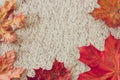 Autumnal maple leaves lying on carpet floor