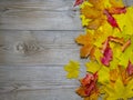 Autumnal maple leaves on old wood background Royalty Free Stock Photo