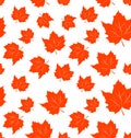 Autumnal Maple Leaves, Seamless Background