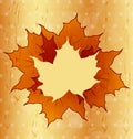 Autumnal maple leaves, wooden texture