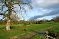 Autumnal Meadows Royalty Free Stock Photo