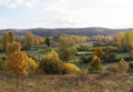 Autumnal meadows and groves landscape with low hills in the background Royalty Free Stock Photo