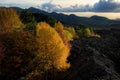Autumnal mixed forest surronded by cooled lava of 1976 in Etna Park at evening Royalty Free Stock Photo