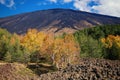 Autumnal mixed forest under slope of Etna Mount Royalty Free Stock Photo