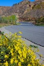 Autumnal mountain trafficway Royalty Free Stock Photo