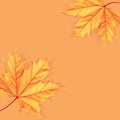 Autumnal natural background in a minimalist style. Yellow red maple leaf on a light orange background. Creative image. Royalty Free Stock Photo