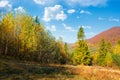 autumnal nature scenery in mountains