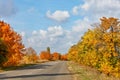 Autumnal orange and yellow foliage of roadside trees flank the old tarmac road