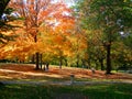 Autumnal park