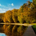 Autumnal park. Lake with reflection. Morning