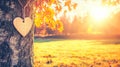 Autumnal park sunset; wooden heart on tree Royalty Free Stock Photo