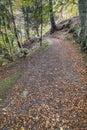 Autumnal Path through Gorge on the North Esk River in Glen Esk.
