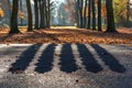 Autumn Shadows on Pathway in Park Royalty Free Stock Photo