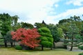 Japanese garden at autumn, Kyoto Japan. Royalty Free Stock Photo