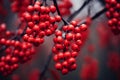 Autumnal Red berries branch fall ripe. Generate Ai Royalty Free Stock Photo