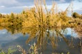 Autumnal reflections